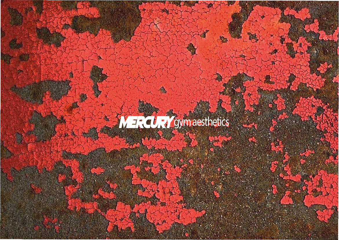 Type1web d196de07 e23b 46ad aaf1 0c042e638e3e